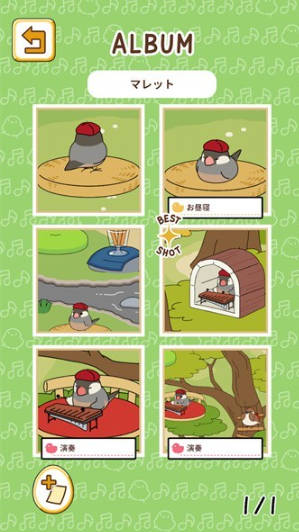 小鸟音乐会(とりのおと)