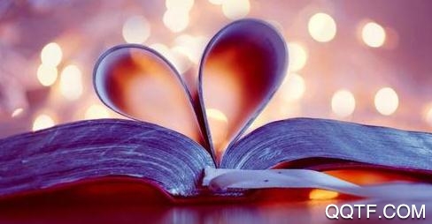 云猫小说app最新版