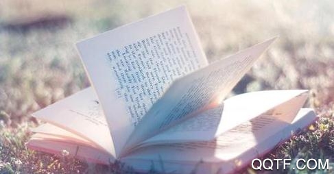 云猫小说app最新版