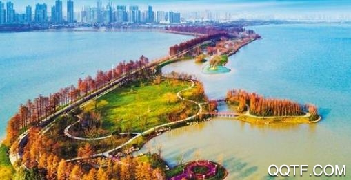 中经视觉app最新版