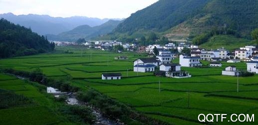 幸福桂东app官方版