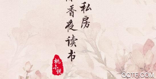 桃小说app最新版