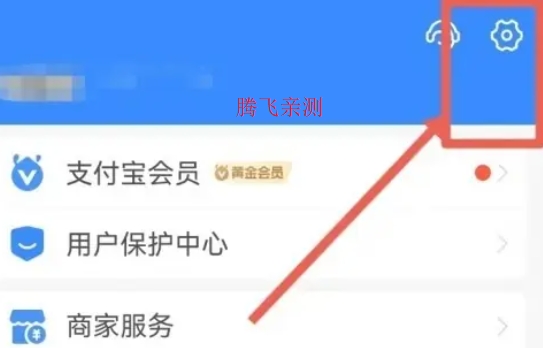 支付宝手表版apk