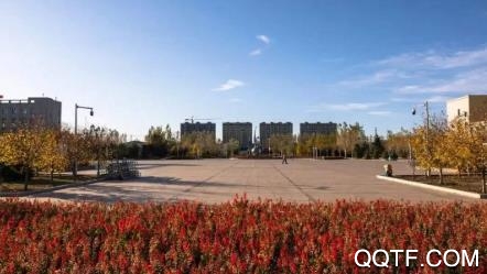 掌上克东手机客户端 掌上克东手机客户端