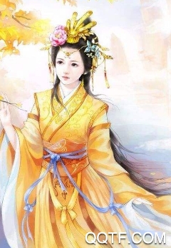 书城小说阅读器免费版