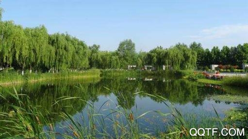 新乐融媒体中心客户端 新乐融媒体中心客户端