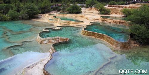 天府郫都新闻客户端 天府郫都新闻客户端