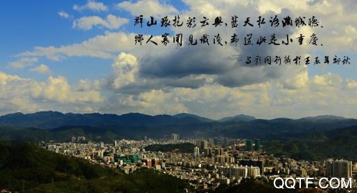 今紫金app最新版