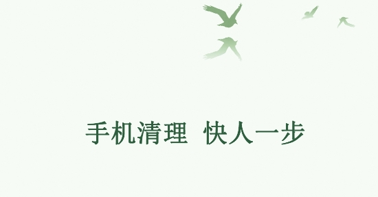 极速清理手机管家专业版 极速清理手机管家专业版