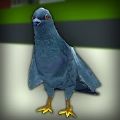鸽子横冲直撞模拟器最新版(Pigeon 
