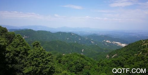 云上南召新闻客户端 云上南召新闻客户端