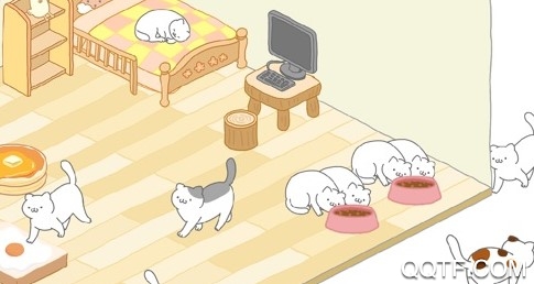 米罗猫咪安卓版