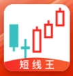 短线王官网电脑版